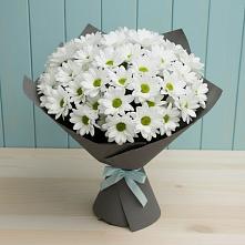 Букет цветов из:  Хризантемы #REPLACE_PRED# Каргате