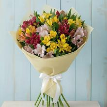 Букет цветов из:  Альстромерии #REPLACE_PRED# Каргате