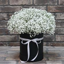Цветочная композиция из Гипсофила в шляпной коробке в Каргате